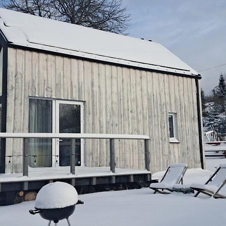 Domek Mecenasa Nieledwia Kültér fotó
